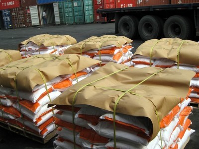 托盘_广州云洋国际货运代理 打造高效、可靠的国际货物运输解决方案